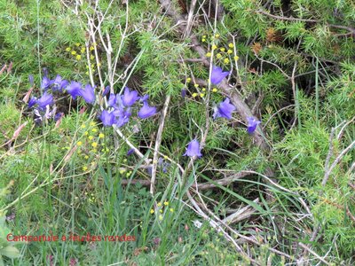 PIOLIT, IMG_6509