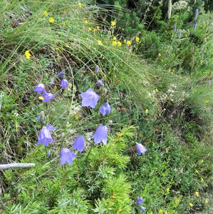 PIOLIT, IMG_6512