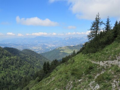 PIOLIT, IMG_6517
