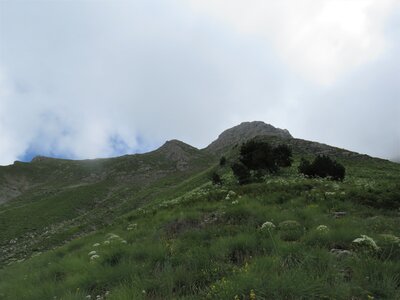 PIOLIT, IMG_6526