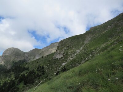 PIOLIT, IMG_6527
