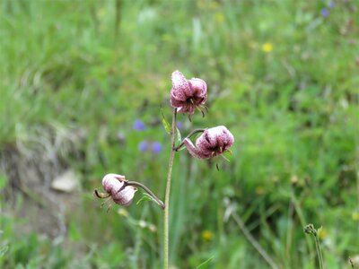 PIOLIT, IMG_6536