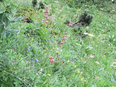 PIOLIT, IMG_6543