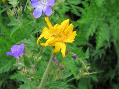 PIOLIT, IMG_6544