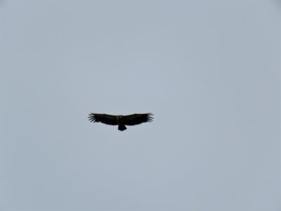PIOLIT, IMG_6555