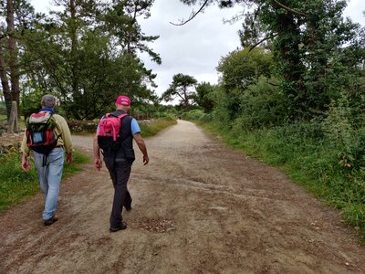 Les Veillées-Chansons en Bretagne : Album de Anne et Manon Landévennec juillet 2020, WhatsApp Image 2020-07-24 at 11.47.54