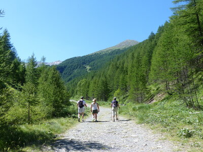 2020 07 25 Parcours des Fées, 2020_07_25 sentier des fees 100