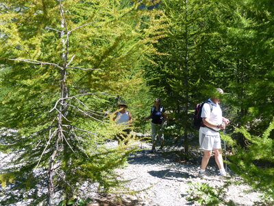2020 07 25 Parcours des Fées, 2020_07_25 sentier des fees 105