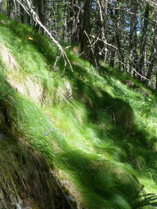 2020 07 25 Parcours des Fées, 2020_07_25 sentier des fees 107