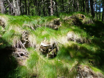 2020 07 25 Parcours des Fées, 2020_07_25 sentier des fees 108