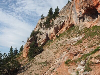 2020, P7281532