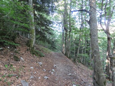 Boucle Cabane du Fleyrard, IMG_6819