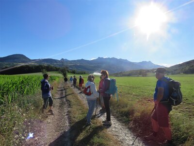 Boucle Les Terrassons-Serre du Clocher -la Moutouse, IMG_6852
