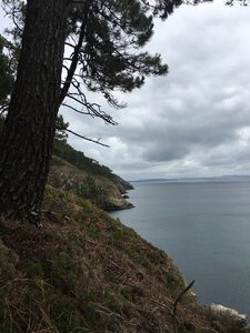 Les Veillées-Chansons en Bretagne : Album de France et Philippe Landévennec juillet 2020, IMG_4229