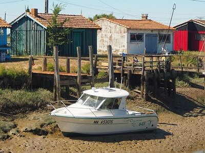 ROCHEFORT MARAIS POITEVIN PARC ORIENTAL MAULEVRIER JUILLET 2020, 0060