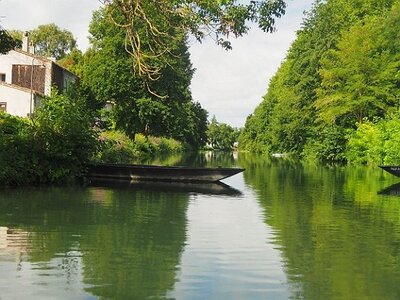 ROCHEFORT MARAIS POITEVIN PARC ORIENTAL MAULEVRIER JUILLET 2020, 0064