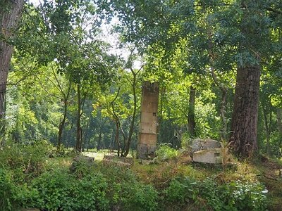 ROCHEFORT MARAIS POITEVIN PARC ORIENTAL MAULEVRIER JUILLET 2020, 0066