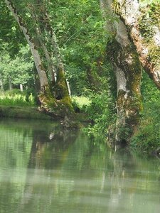 ROCHEFORT MARAIS POITEVIN PARC ORIENTAL MAULEVRIER JUILLET 2020, 0070