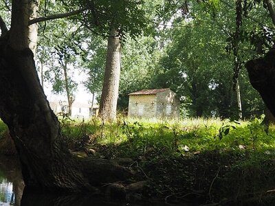 ROCHEFORT MARAIS POITEVIN PARC ORIENTAL MAULEVRIER JUILLET 2020, 0075