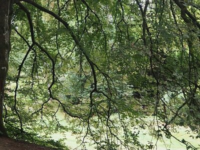 ROCHEFORT MARAIS POITEVIN PARC ORIENTAL MAULEVRIER JUILLET 2020, 0093
