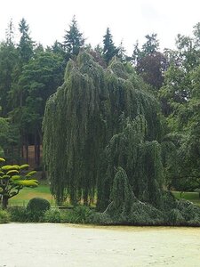 ROCHEFORT MARAIS POITEVIN PARC ORIENTAL MAULEVRIER JUILLET 2020, 0112