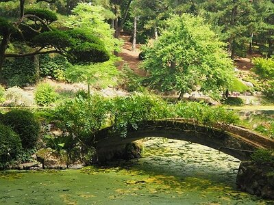 ROCHEFORT MARAIS POITEVIN PARC ORIENTAL MAULEVRIER JUILLET 2020, 0132