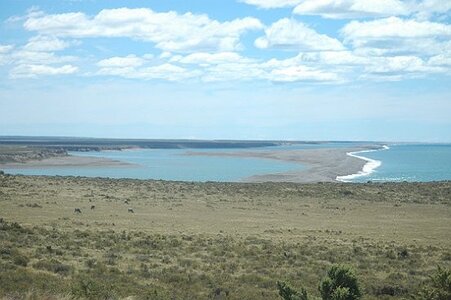 ARGENTINE : PENINSULE DE VALDES, 0022