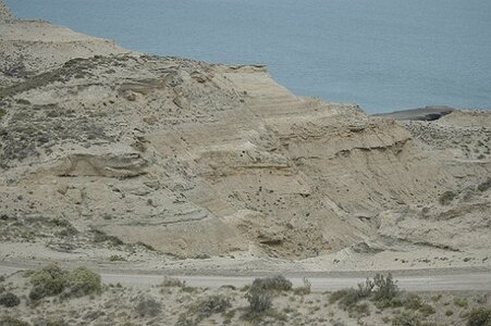 ARGENTINE : PENINSULE DE VALDES, 0060