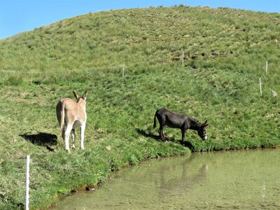 Lac et Col de Clausis-Ceillac, IMG_6877