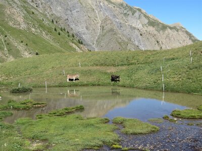 Lac et Col de Clausis-Ceillac, IMG_6879
