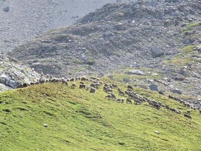 Lac et Col de Clausis-Ceillac, IMG_6894