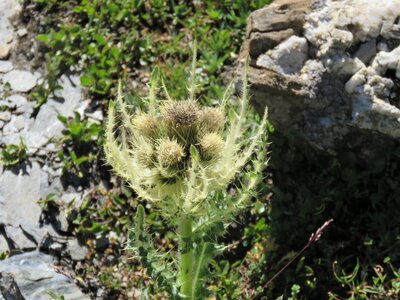 Lac et Col de Clausis-Ceillac, IMG_6896