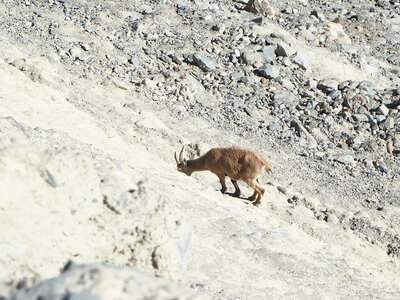 2020-07-06-11-mont-blanc, 2020-07-09-alpes-aventure-refuge-gonella-francois-019
