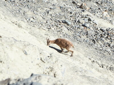 2020-07-06-11-mont-blanc, 2020-07-09-alpes-aventure-refuge-gonella-francois-020