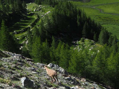 2020-07-06-11-mont-blanc, 2020-07-09-alpes-aventure-refuge-gonella-francois-033
