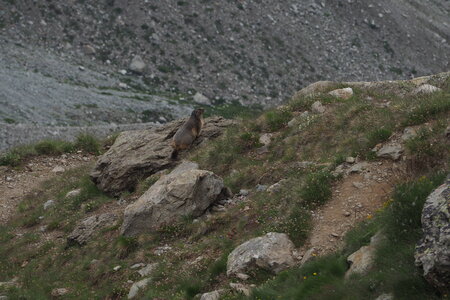2020-07-12-19-haute-route-la-grave-briancon, 2020-07-14-alpes-aventure-dome-de-la-lauze-76