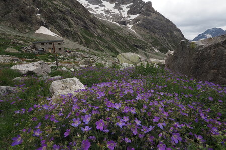 2020-07-12-19-haute-route-la-grave-briancon, 2020-07-15-alpes-aventure-tete-sud-du-replat-42