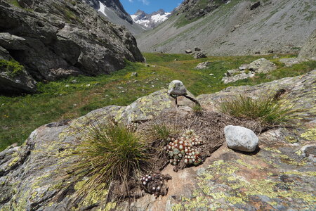 2020-07-12-19-haute-route-la-grave-briancon, 2020-07-16-alpes-aventure-col-du-clos-des-cavales-66
