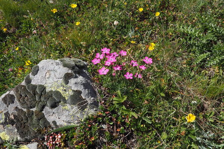 2020-07-12-19-haute-route-la-grave-briancon, 2020-07-18-alpes-aventure-le-lauzet-buffere-54