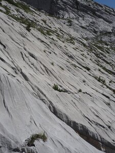 2020, P8122594