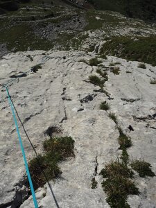 2020, P8122507