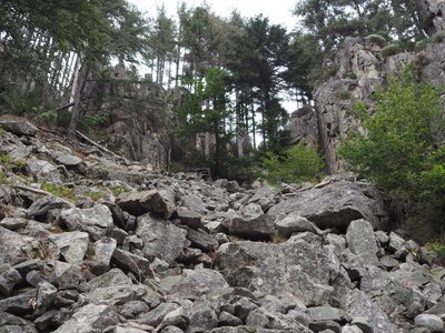 Gier-Grimpe, P8172738