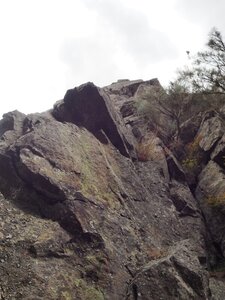 Gier-Grimpe, P8172744