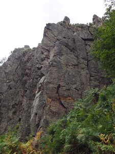 Gier-Grimpe, P8172746