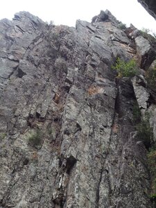 Gier-Grimpe, P8172748