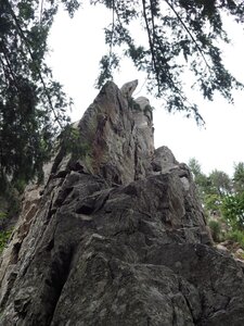 Gier-Grimpe, P8172754