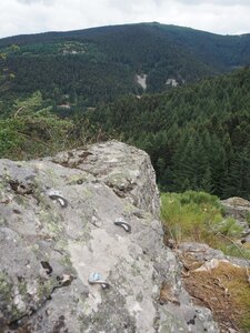 Gier-Grimpe, P8172769
