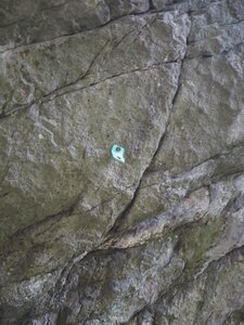 Gier-Grimpe, P8172795