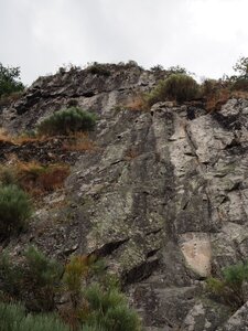 Gier-Grimpe, P8172838