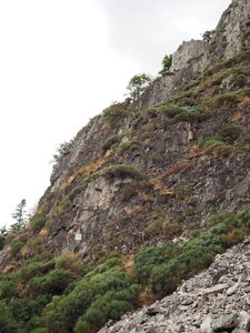 Gier-Grimpe, P8172843